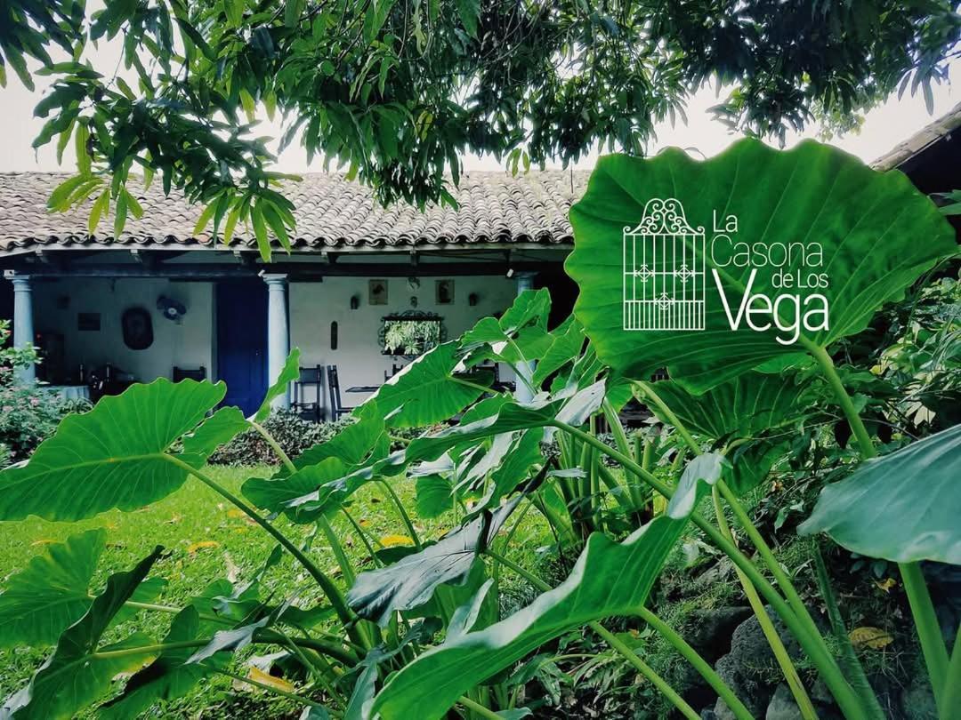 Casona Los Vega Izalco Exteriér fotografie