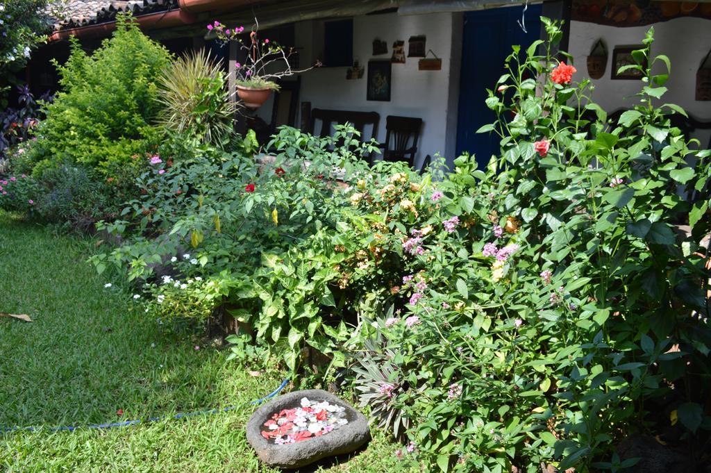 Casona Los Vega Izalco Exteriér fotografie